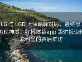 BLG 与 LGD 上演巅峰对局，最终黑马再现神威，好博体育app 跟进报道精彩纷呈的赛后群访
