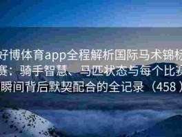 好博体育app全程解析国际马术锦标赛：骑手智慧、马匹状态与每个比赛瞬间背后默契配合的全记录（458 ）