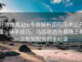 好博体育app专题解析国际马术公开赛：骑手技巧、马匹状态与赛场上每一次默契配合的全纪录